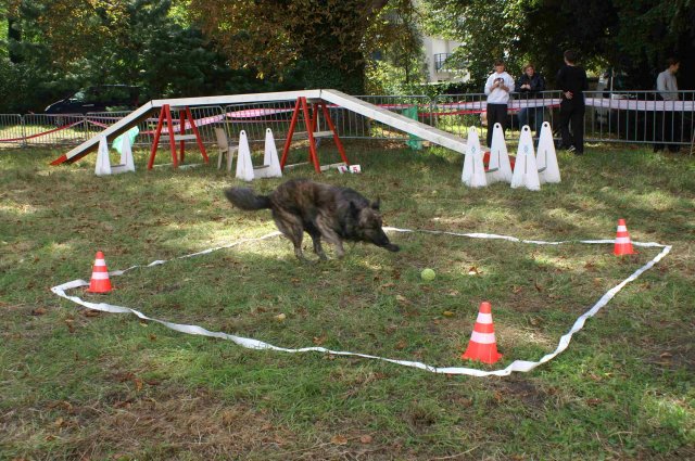 foire-haricots 2011-09-17et18